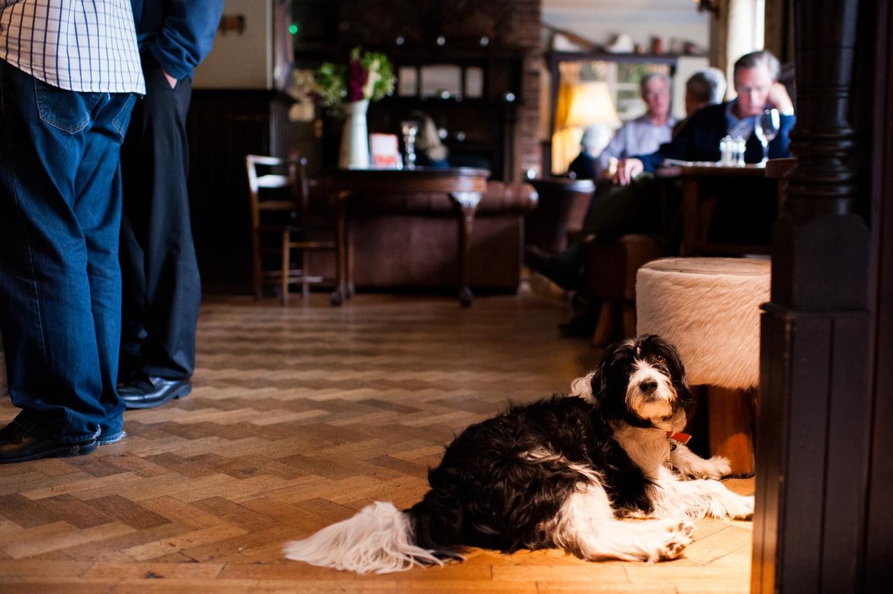 The Thomas Lord Hotel West Meon Kültér fotó